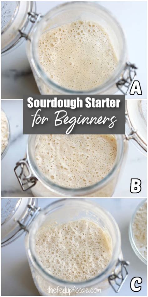 three images showing how to make sourdough starter for beginners with text overlay