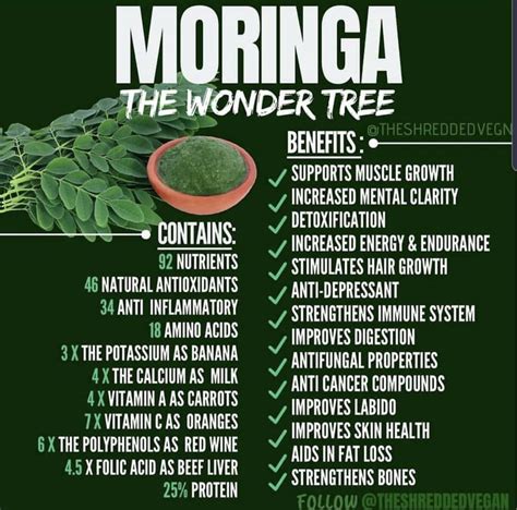 Moringa in 2020 | Moringa benefits, How to increase energy, Moringa