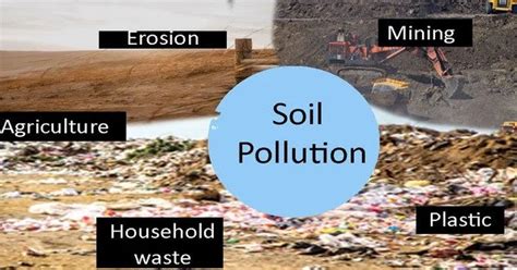 Soil Contamination - Assignment Point