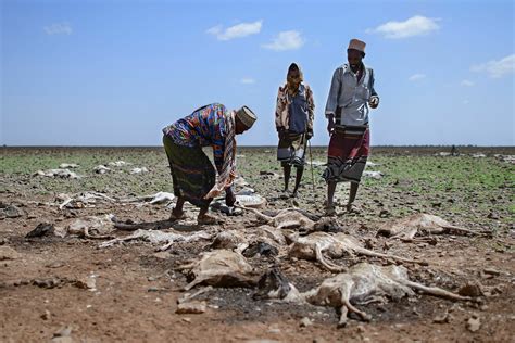 In Africa, Conflict and Climate Super-Charge the Forces Behind Famine ...