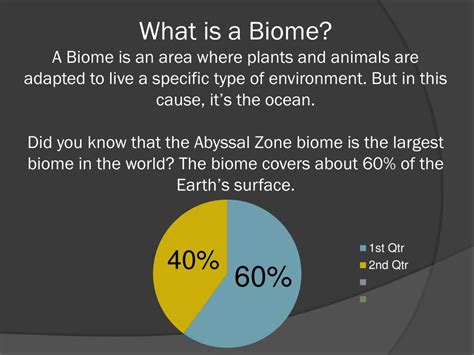 PPT - The Abyssal Zone PowerPoint Presentation, free download - ID:2131216