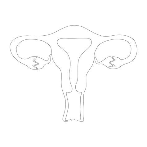 Premium Vector | Continuous line art drawing of female reproductive uterus