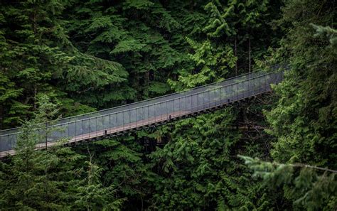 Is Visiting Capilano Suspension Bridge Worth it? - It Started Outdoors