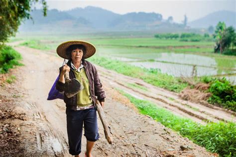 A rice farmer in rural China comes home after a day in the fields ...