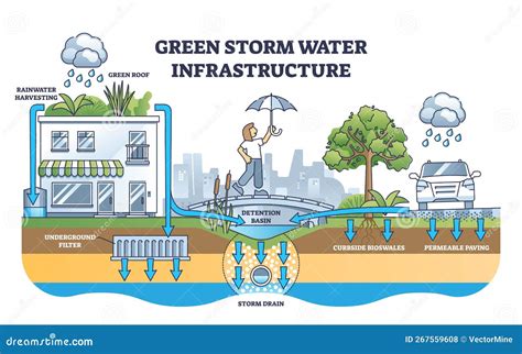 Green Storm Water Infrastructure With Rain Absorption Methods Outline Diagram Vector ...