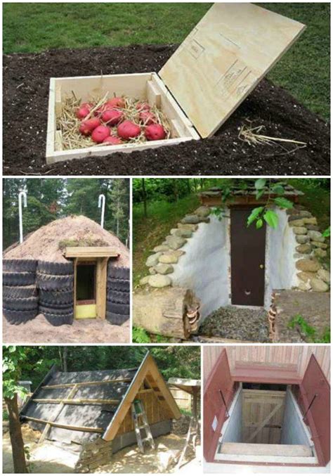 17 DIY Root Cellars For The Homestead | Root cellar, Homestead survival ...