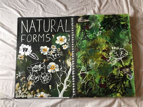 Natural forms title page | Photography sketchbook, Natural form art ...