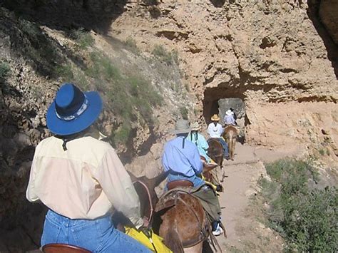 Phantom Ranch Mule Ride Gallery | Hit the Trail at Grand Canyon