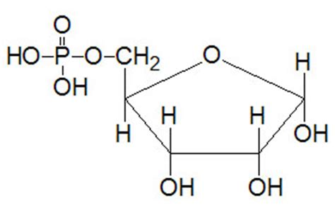 Biochemical Properties of Carbohydrates - The Medical Biochemistry Page