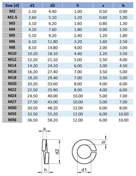 Metric Spring Washer - 304 Stainless Steel