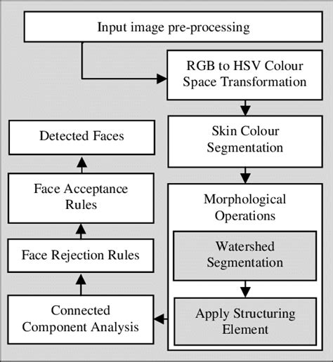 Face Detection Algorithm (Previous work) | Download Scientific Diagram