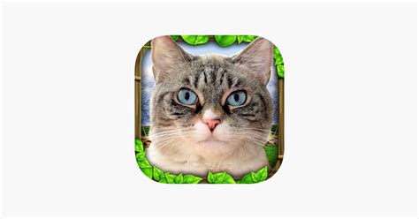 ‎Stray Cat Simulator on the App Store