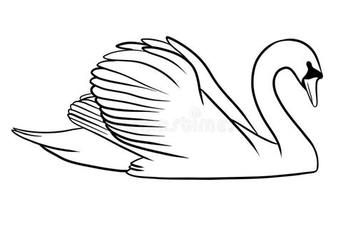 Swan. Black and White Vector Illustration of a Swan Stock Photo - Illustration of design, swan ...