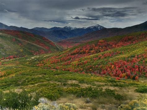 Provo Canyon Utah in the Fall [3255x2436] : r/EarthPorn