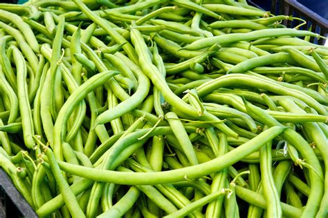 Miss Gardening? Grow Green Beans Indoors This Winter - Off The Grid News