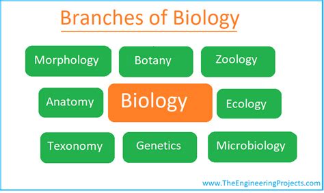 What is Biology? Definition, Branches, Books and Scientists - The Engineering Projects
