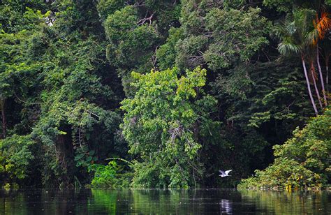 Fotos incríveis da Amazônia... - Belezas Naturais