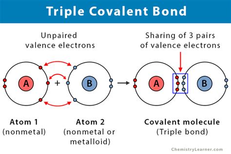 Covalent Bond N2