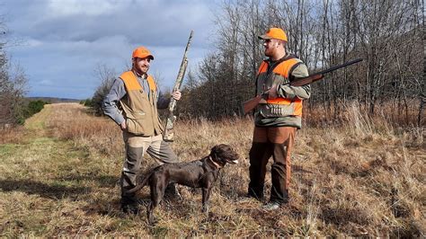 Final PA pheasant stocking this week; season runs through Feb. 28