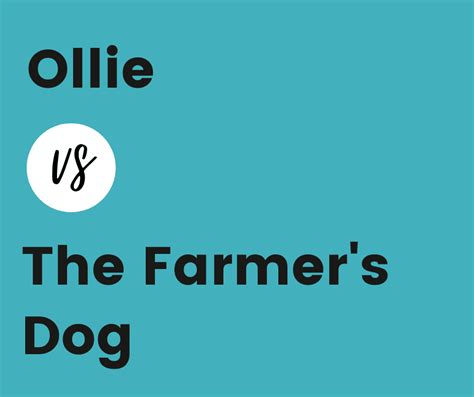 Ollie vs The Farmer's Dog: Which is the Best Fresh Dog Food Online?