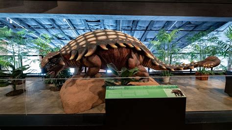 The Houston Museum of Natural Science at Sugar Land - Autism Travel