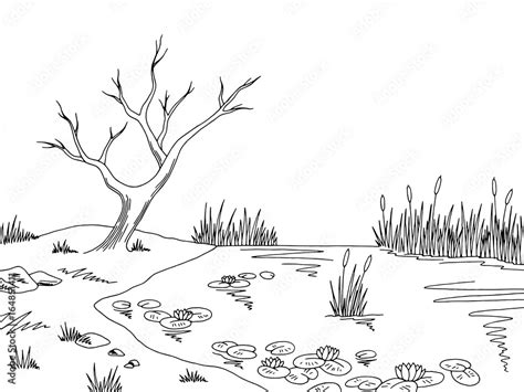 Bog swamp graphic black white landscape sketch illustration vector Stock Vector | Adobe Stock