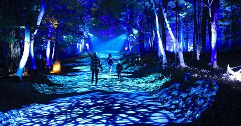 Harry Potter: A Forbidden Forest Experience Opens at Morven Park | Get Out Loudoun | loudounnow.com