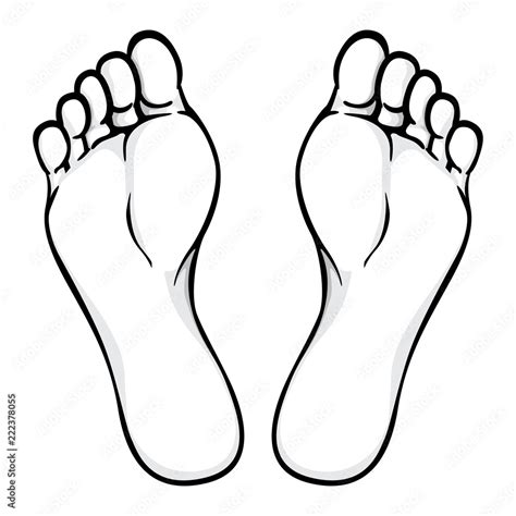 Illustration of body part, plant or sole of foot, Black white. Ideal ...