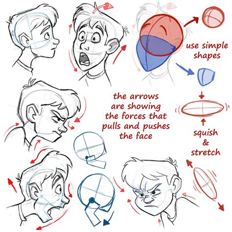 Learning drawing principles: face