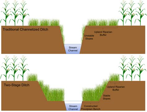 Two-stage ditches reduce nitrogen pollution while draining farmfields | Illinois-Indiana Sea Grant