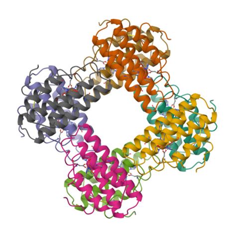 RCSB PDB - 1HMO: THE STRUCTURE OF DEOXY AND OXY HEMERYTHRIN AT 2.0 ANGSTROMS RESOLUTION