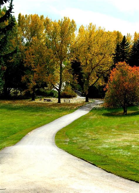 Confederation Park, Calgary | Park, Recreational parks, Calgary