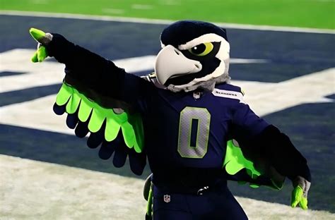 Blitz's Backstory: The Making of Seattle's Spirited Seahawk - WhiteClouds