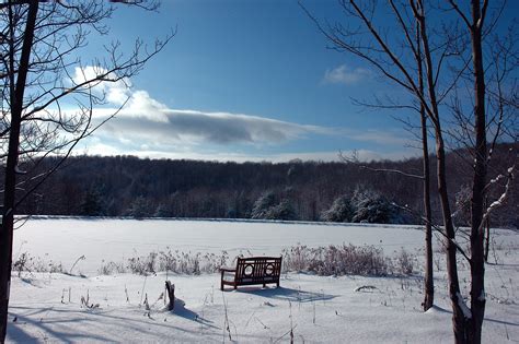 Pond-Winter-2 – Alice McDowell