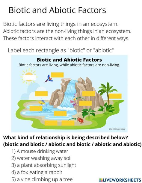 Biotic and Abiotic Factors 2140053 | pyoung | Live