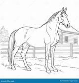 Horse Pictures Coloring Pages sketch template