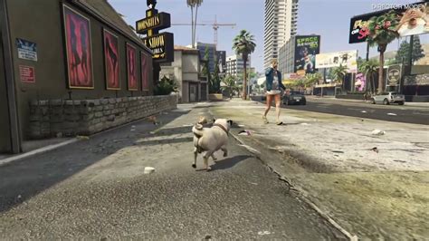 Being a dog in gta 5 - YouTube