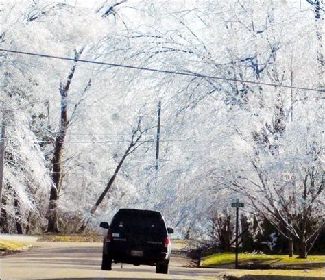 Scenes from Ice Storm 2023 | The South Reporter