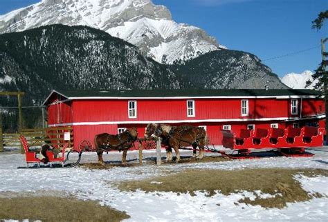 Banff Trail Riders - 2021 All You Need to Know BEFORE You Go | Tours & Tickets (with Photos ...