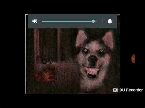 The Real Story Of Smile.Dog - YouTube