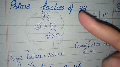 Factor Tree of 44|Prime Factorization of 44 - YouTube