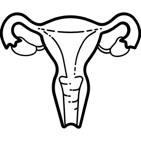 Uterus Drawing Images - Free Download on Freepik