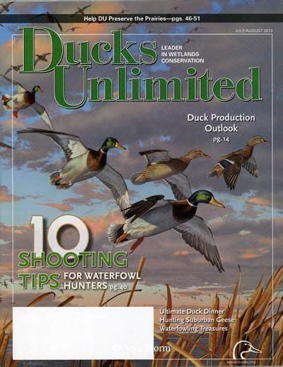 Old Ducks Unlimited magazine | Ducks unlimited, Wildlife paintings, Wetland