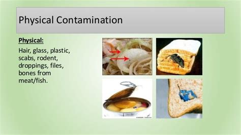 4 Types Of Contamination Hazards / Enviormental pollution / The ...