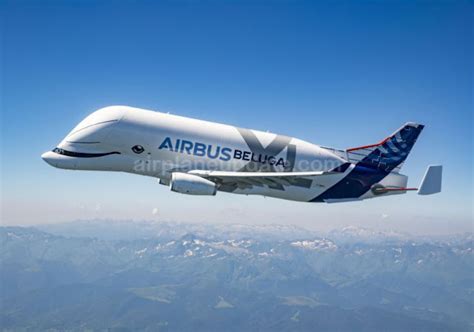 Airbus Beluga XL Interior, Capacity, Cockpit, Specs, and Price ...