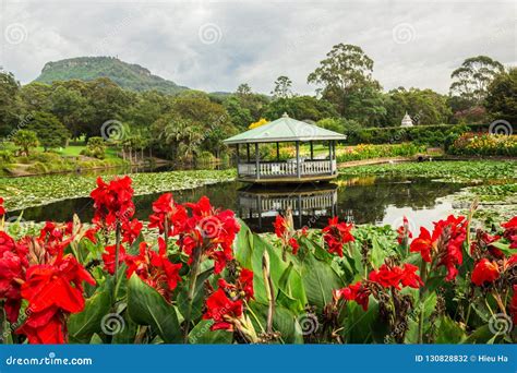 Japanese Garden in Wollongong Botanic Gardens, Wollongong, New South ...