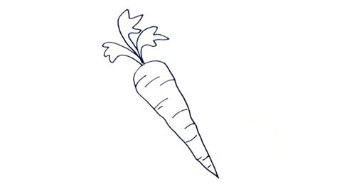 Carrot Drawing Pic - Drawing Skill