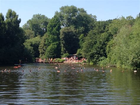 Swimming in Hampstead Heath Ponds - London Budget