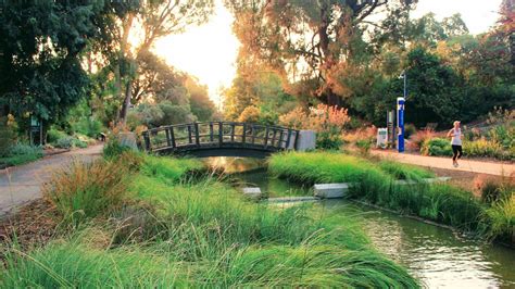 Photo Progress of Phase 1 | UC Davis Arboretum and Public Garden