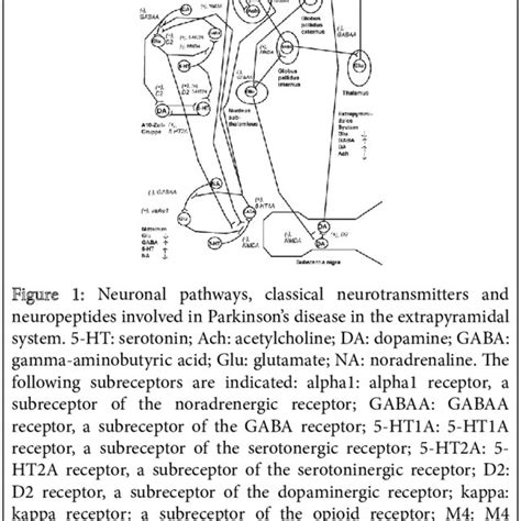 (PDF) Symptoms and Therapeutic Options of the Anti-NMDA Receptor ...